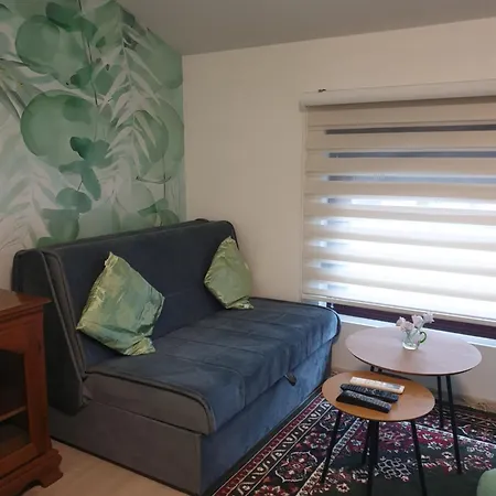 Willow Apartment